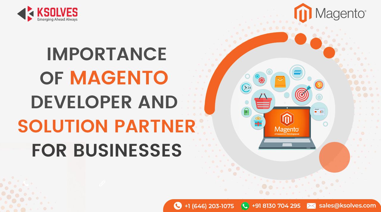 Importance of Magento Developer